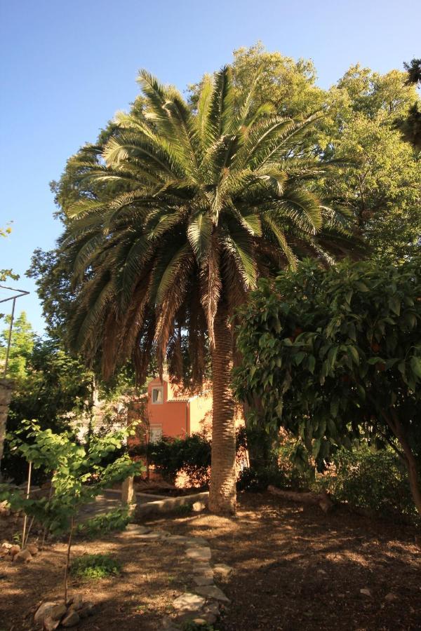 Holiday House With Wifi Mali Losinj Exterior photo